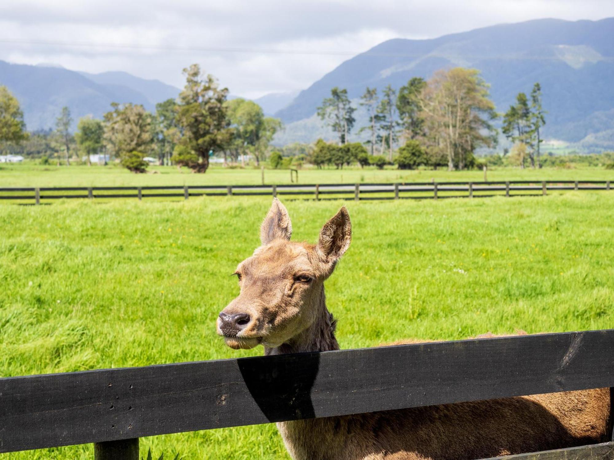 Karamea River Motels Экстерьер фото